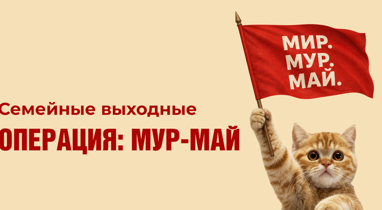 Майские праздники в Историческом парке «Россия – Моя история»: программа «Операция Мур-Май» в Казани